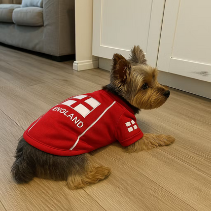 Parisian Pet Team England Dog Jersey