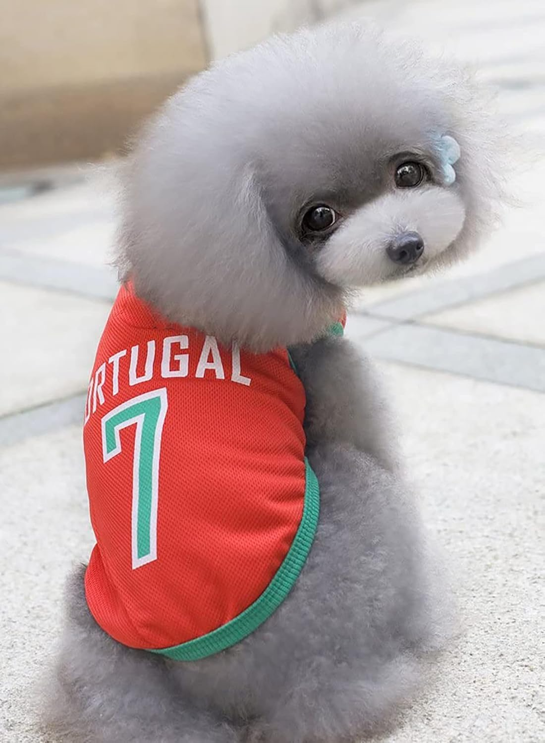 Parisian Portugal Dog Jersey