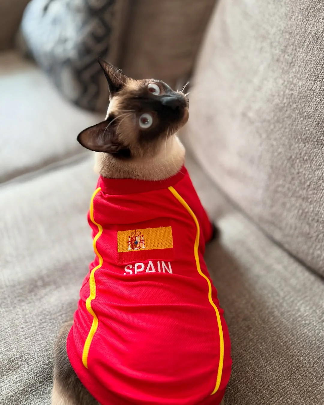 Parisian Spain Dog Jersey