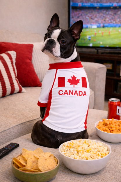 Parisian Pet Team Canada Dog Jersey